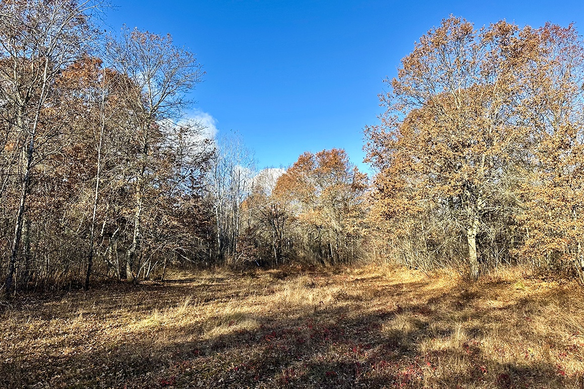 Springbrook, WI 5 Wooded Acres For Sale! Just 47,900! Thousand