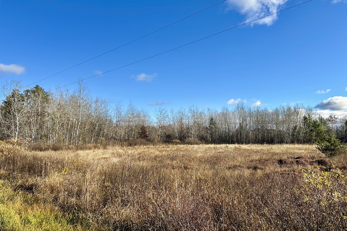 NW WI 15Acre Sportsman’s Paradise! Only 62,900! Thousand Lakes Realty