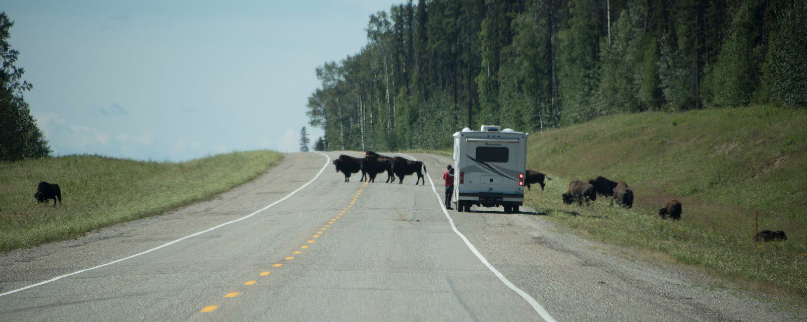 Fort Nelson British Columbia 1000 Towns of Canada