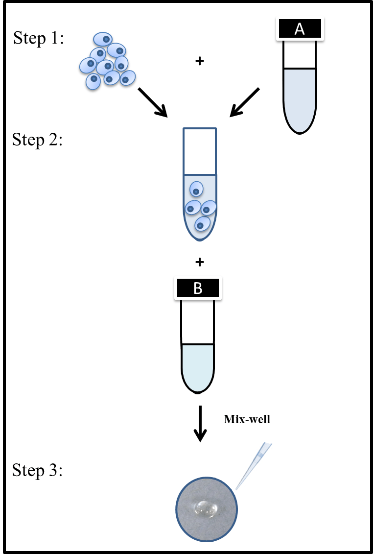 3D Cell Culture Gel, ColTgel for Tumor Cells, Stem Cells and primary