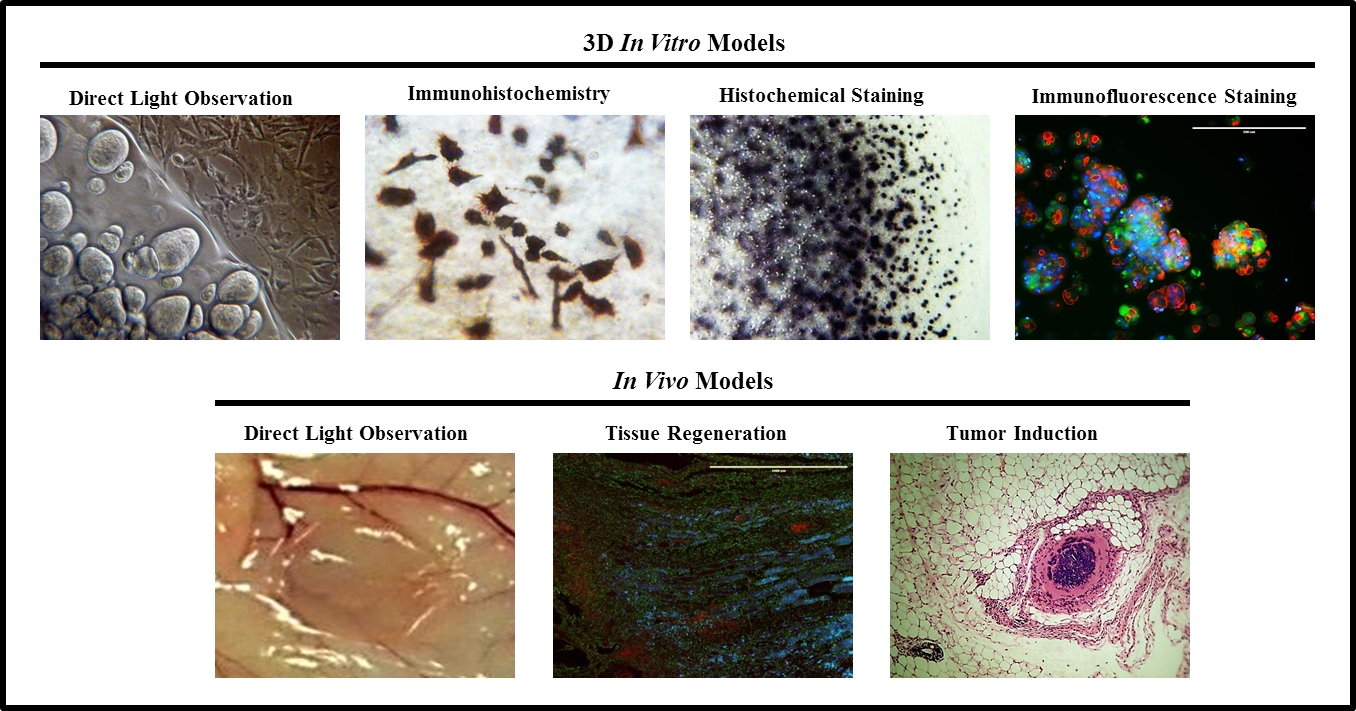 3D Cell Culture Gel, ColTgel for Tumor Cells, Stem Cells and primary