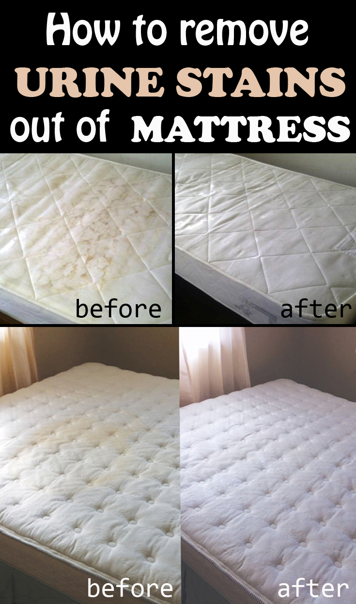 How To Remove Urine Stains From A Foam Mattress at Lisa Kubik blog