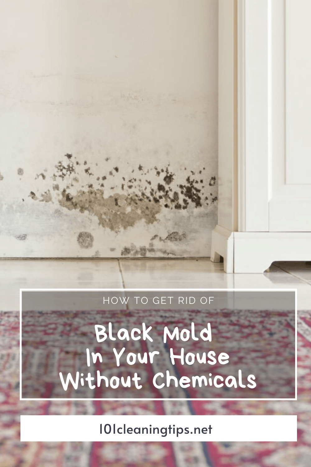How To Get Rid Of Black Mold In Your House Without Chemicals