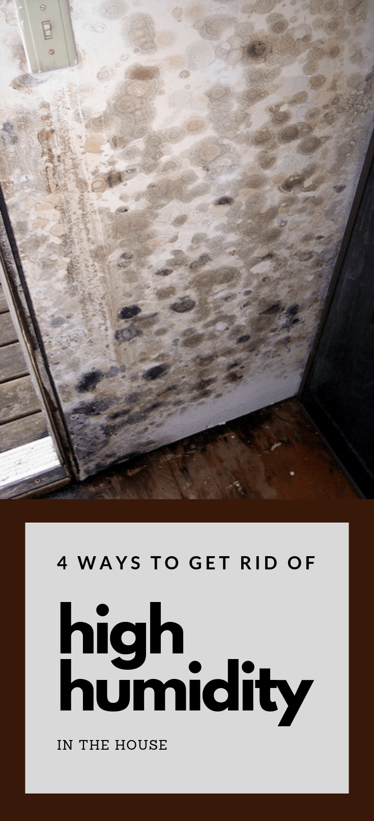 4 Ways To Get Rid Of High Humidity In The House