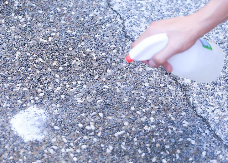How To Neutralize That Pungent Dog Pee Odor On Concrete