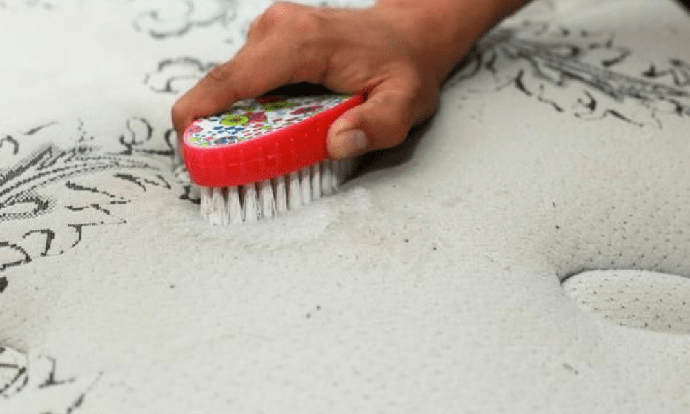How To Clean Vomit Stains And Odor Out Of A Mattress