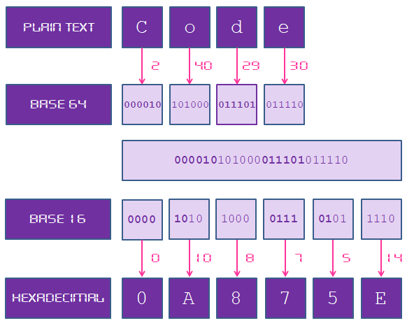 Cryptographic Challenge Base64 to Hex 101 Computing