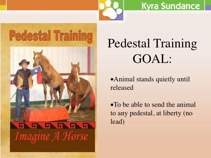 Pedestal Training to Improve Focus, Drive, and Precision