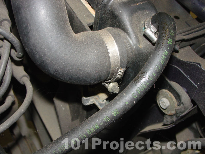 101 Projects for Your BMW 3 Series Project 20 E30 Timing Belt
