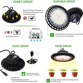10 Complete Grow Tent Kits For Easy Indoor Growing