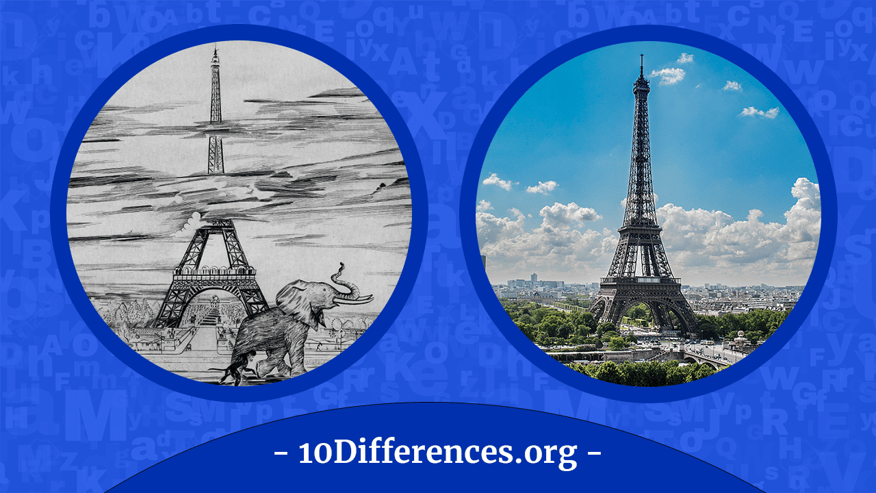 Difference Between ‘Appearance’ And ‘Reality’