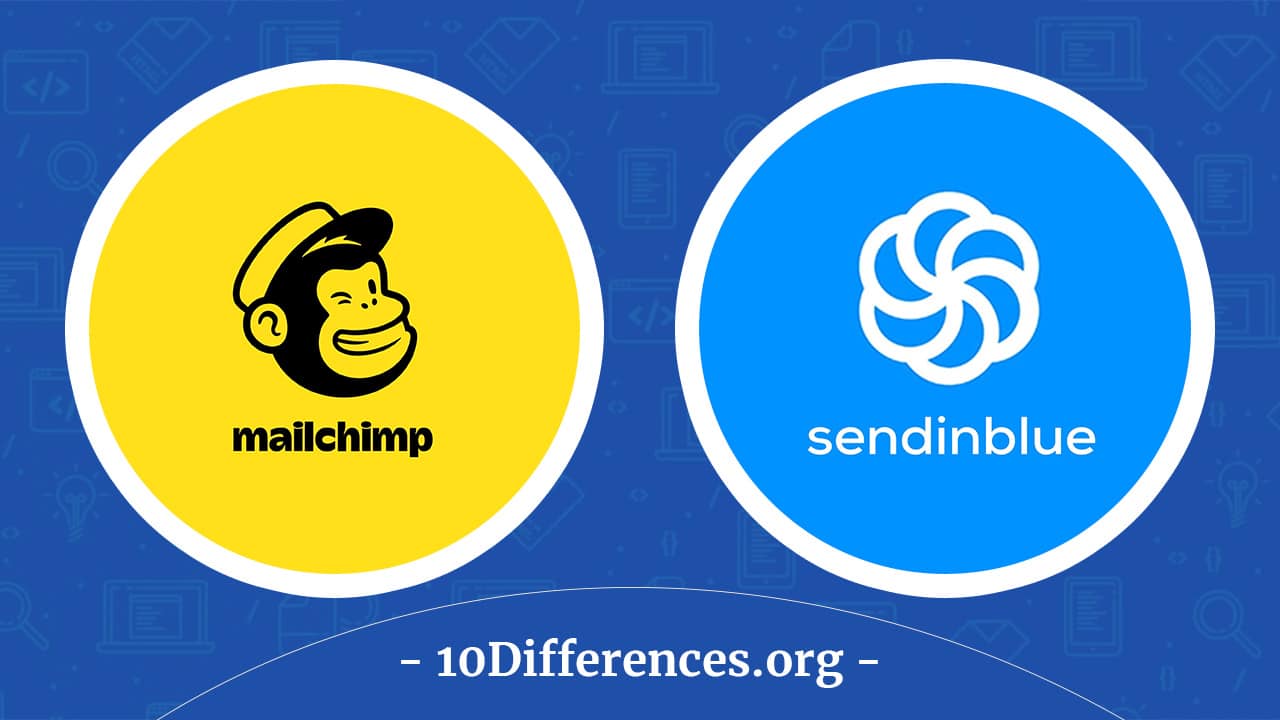 Vs Crisp What are the Differences?