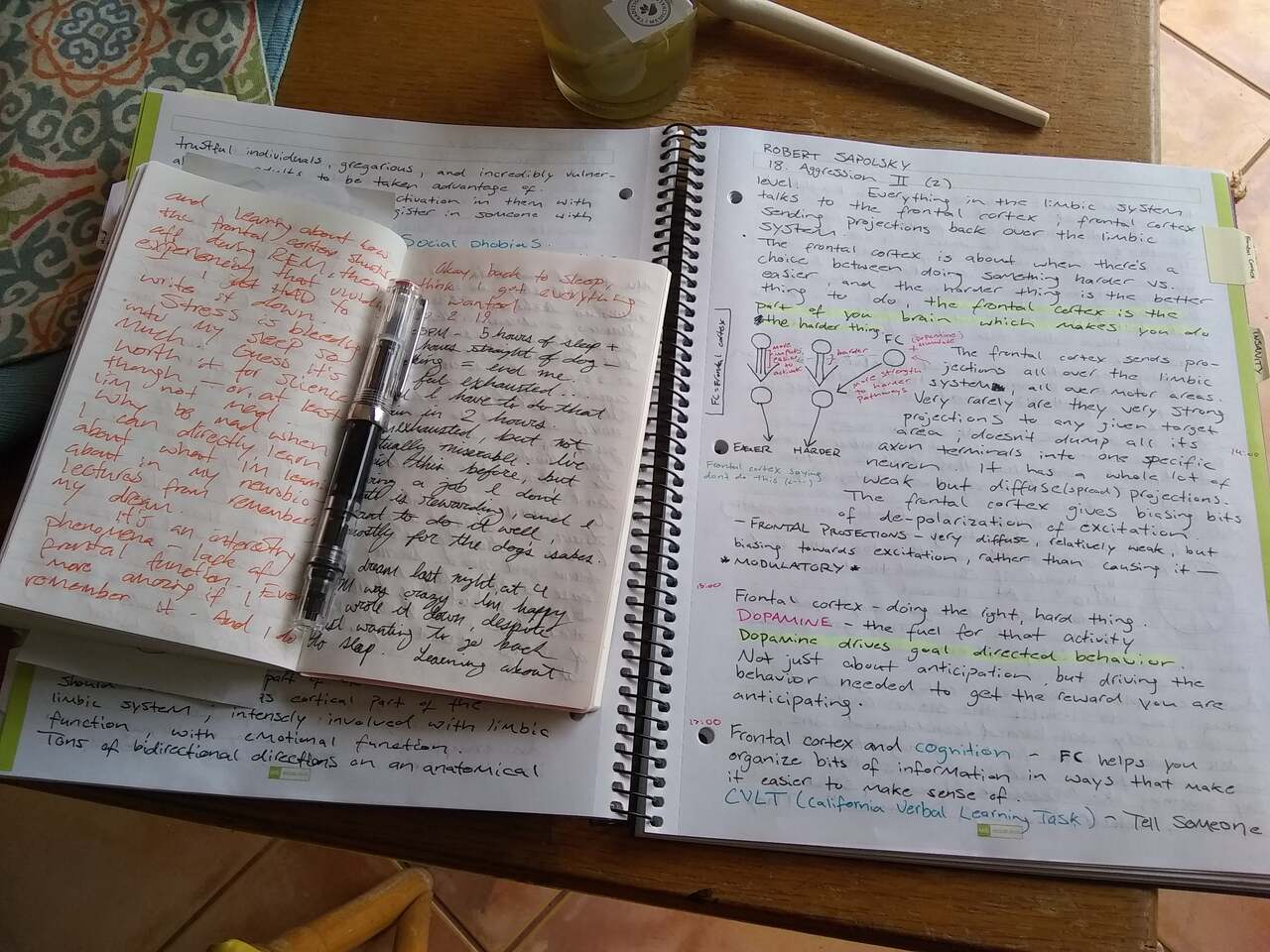 Diary Vs Journal What's the Difference?