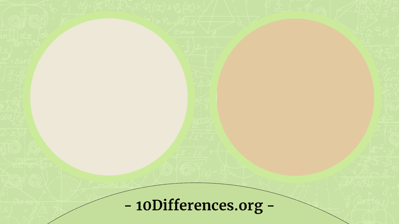 Difference Between Ivory and Ecru