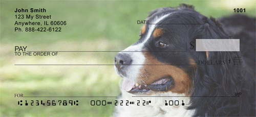 Bernese Mountain Dog Personal Checks, Bernese Mountain Dog Checks
