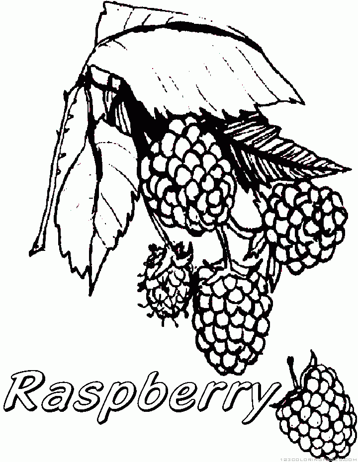 Raspberry Coloring Pages Raspberry Coloring Pages