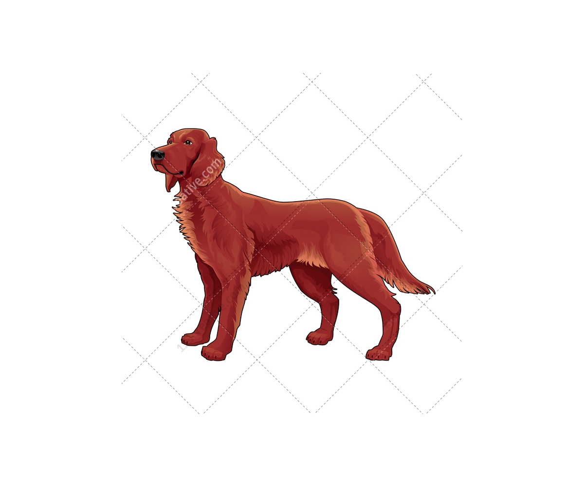 Realistic dog vector pack animal vector graphics. Dalmatian, Pitbull