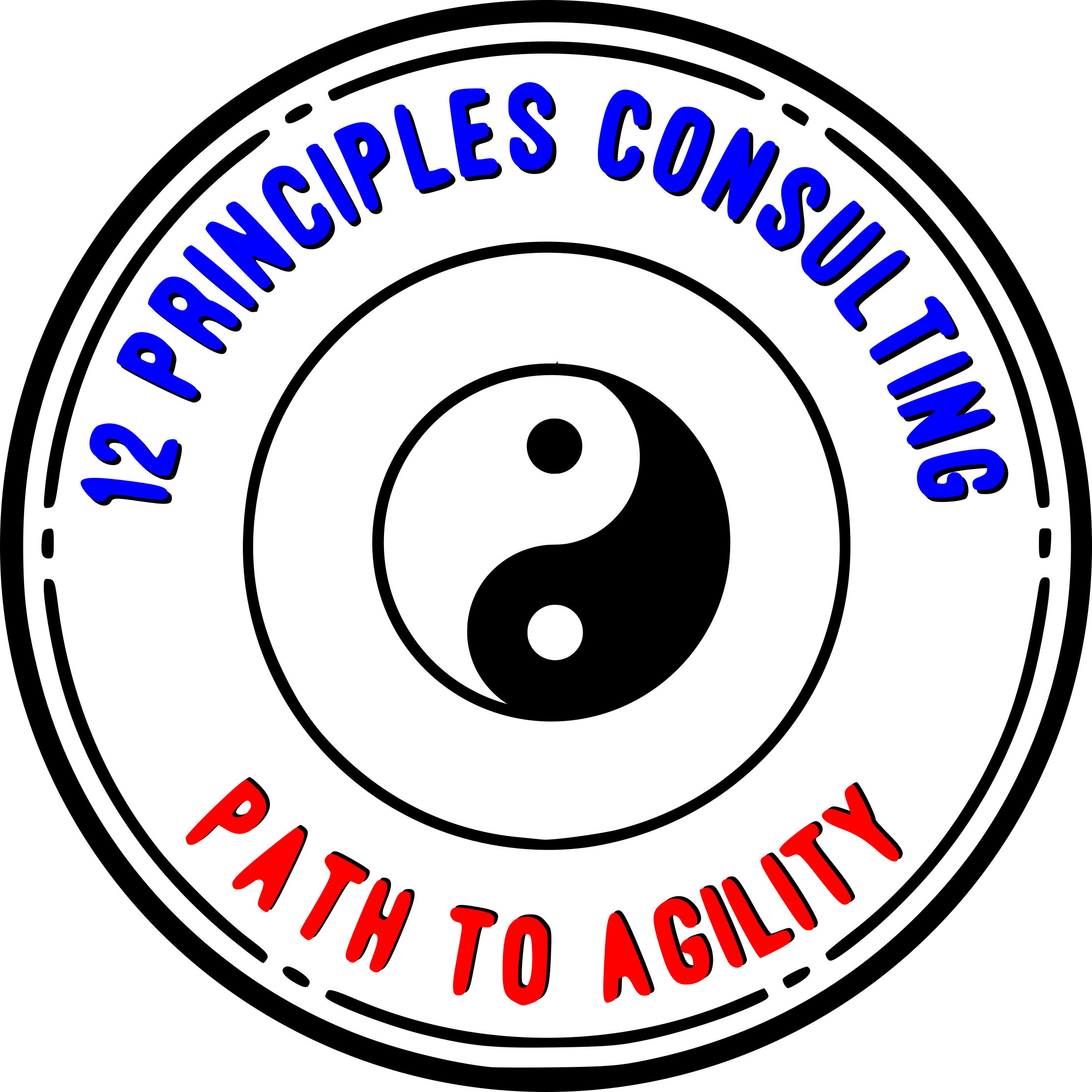 CSMCSPO Training 12 Principles Consulting