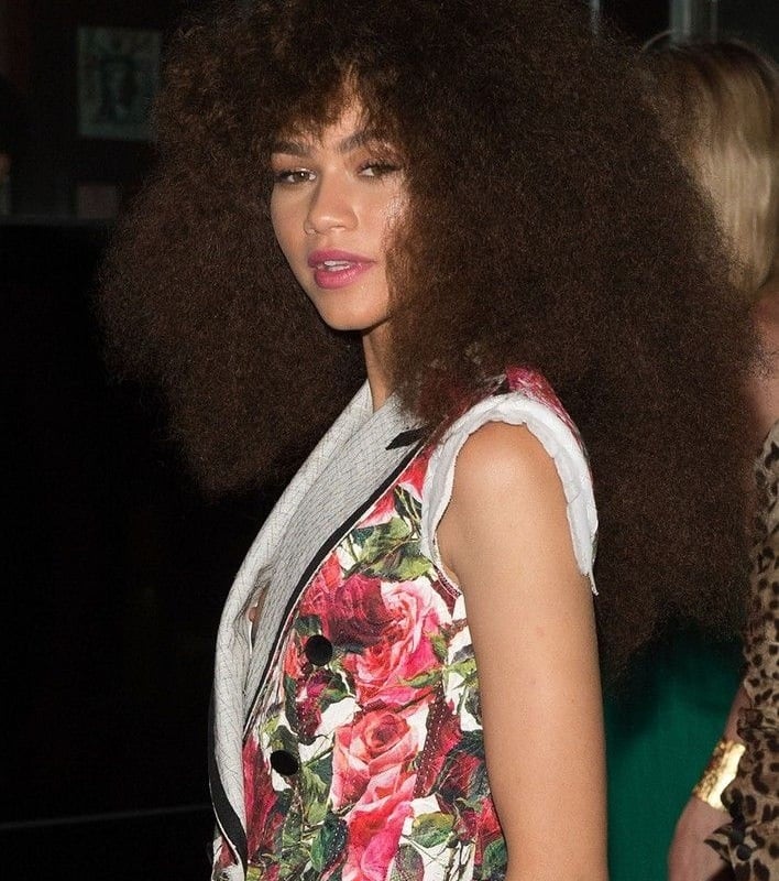 Zendaya Nip Slip 12thBLOG