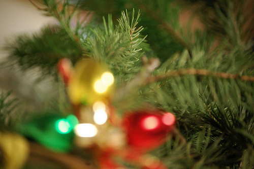 Help With Christmas 2022 Near Me Ithaca Ny Done With Your Christmas Tree? Here's What To Do With It In And Around Ithaca. | 14850