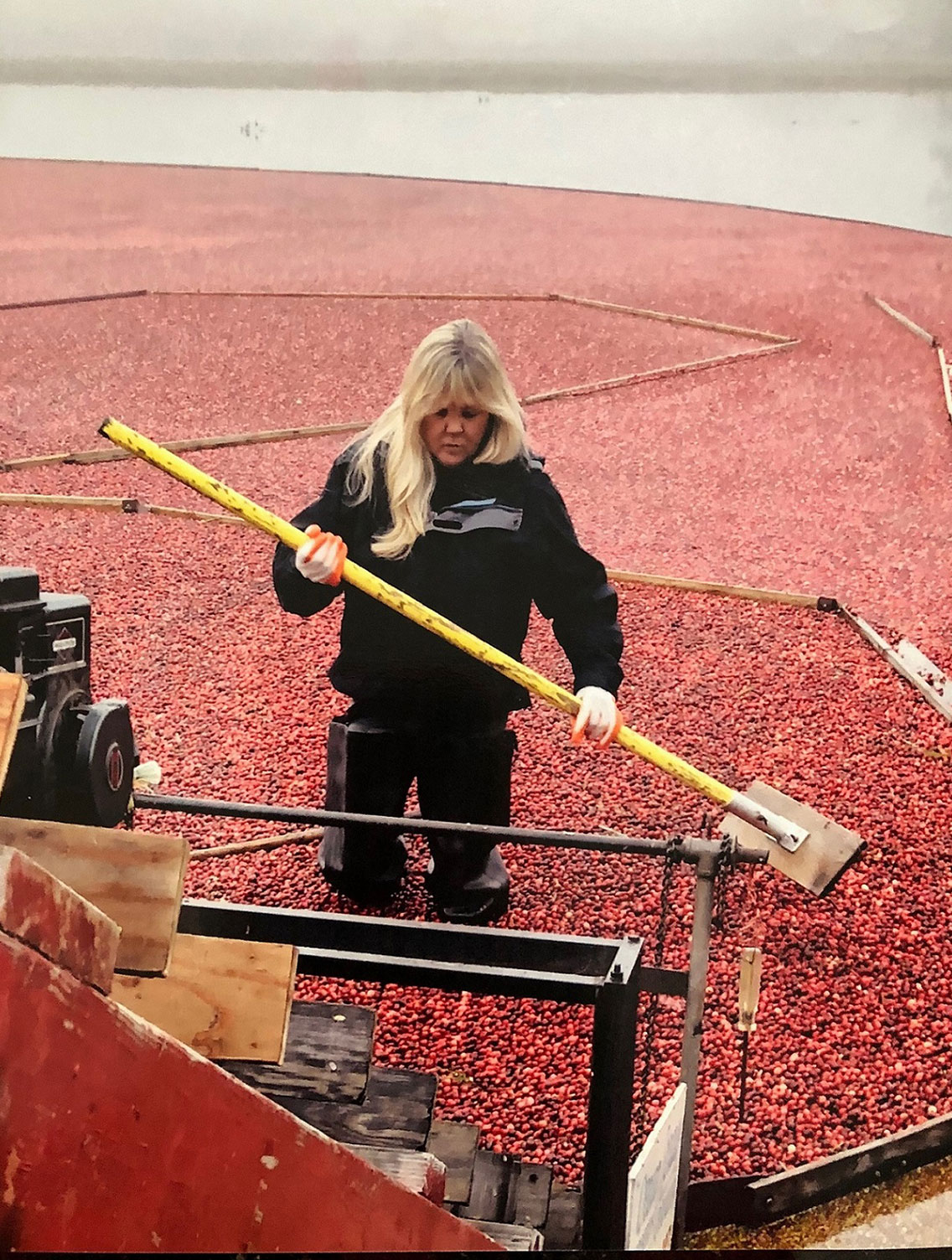 Cranberry Kitchen 1800CRANBERRY (2726237)