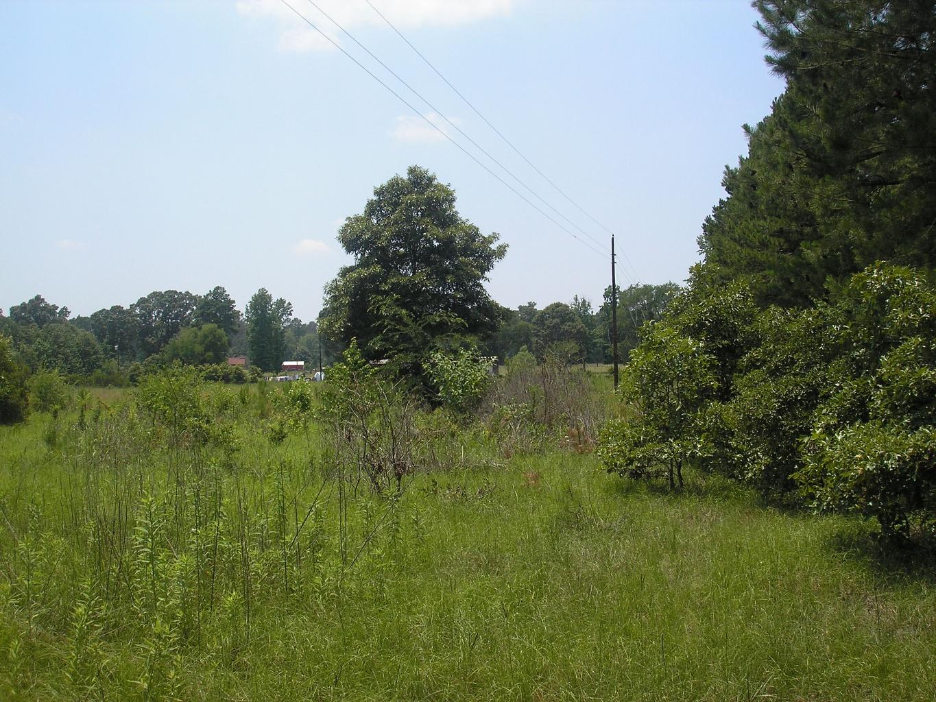 Palestine Texas land for sale