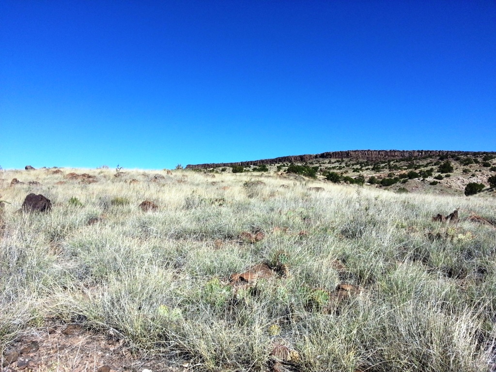 Grants New Mexico land