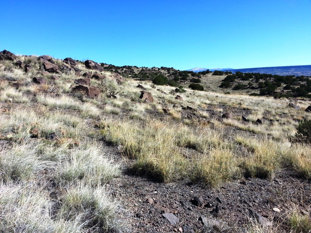 Grants New Mexico land