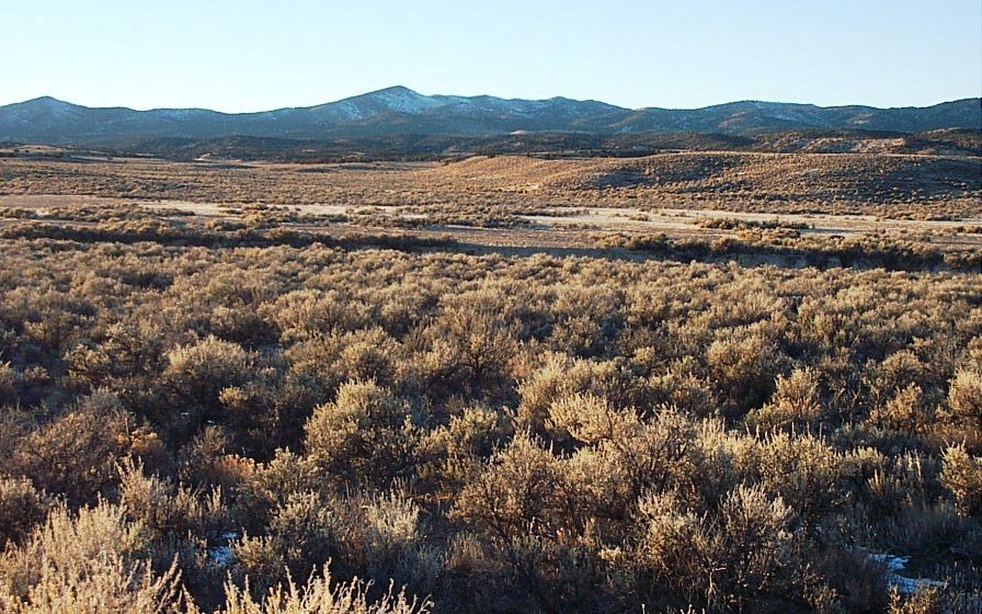 Elko Nevada land for sale