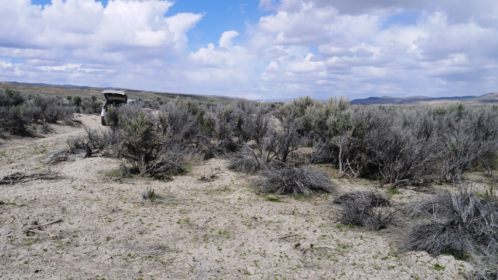 River Valley Ranches Nevada Land for Sale