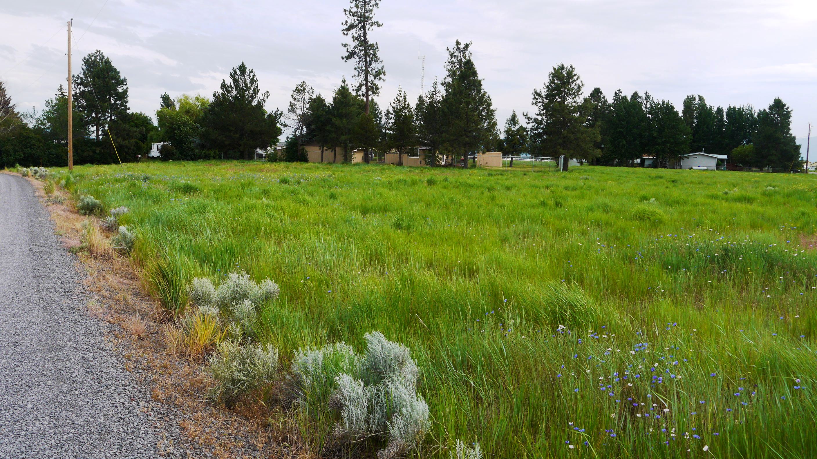 Oregon shores Klamath County Oregon land for sale real estate