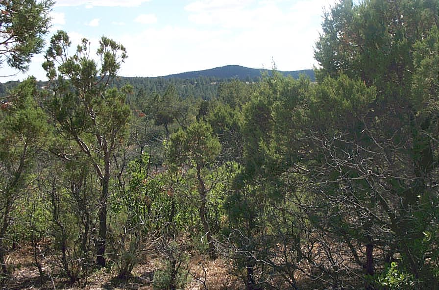 Timberon New Mexico real estate