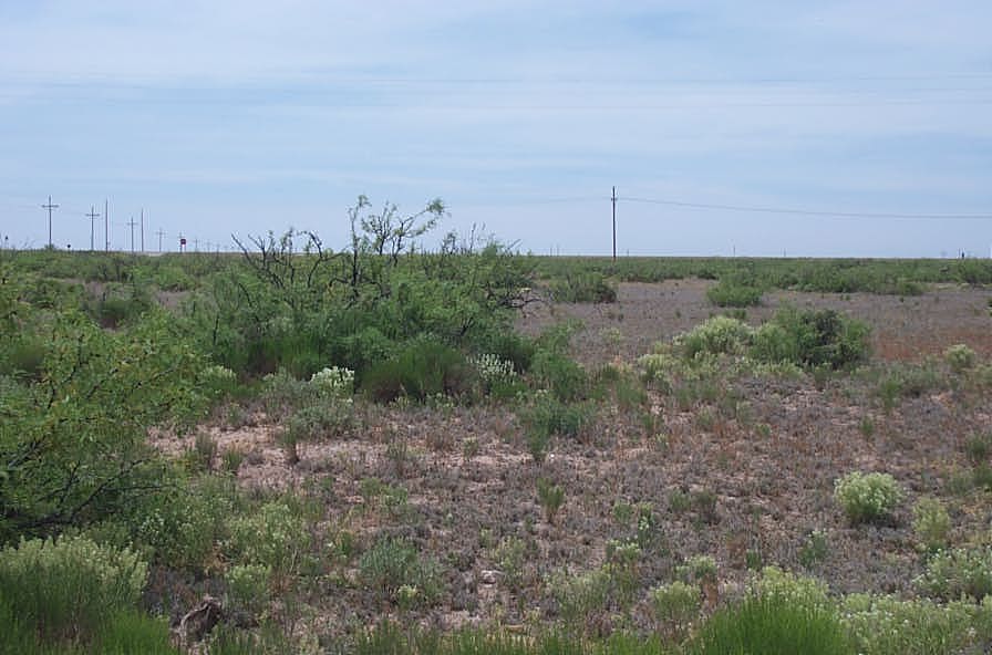 Carlsbad New Mexico Eddy County Land for sale