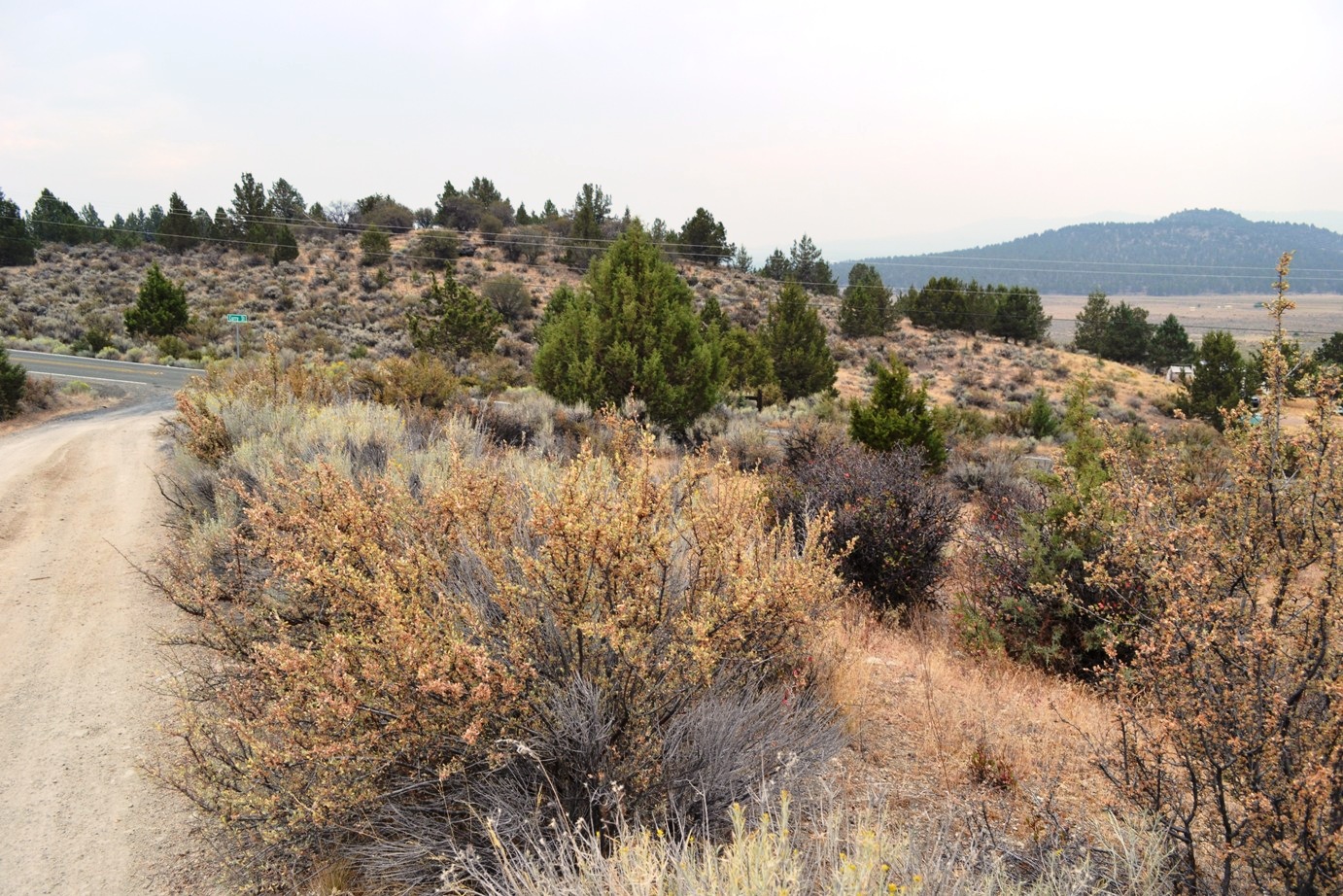 Klamath County Oregon land for sale real estate