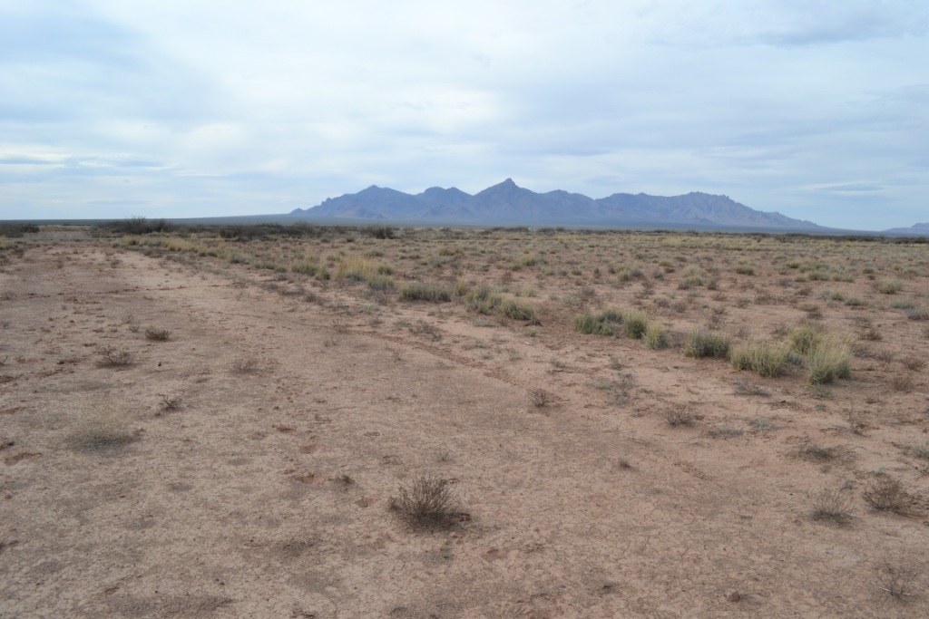 Sunshine Valley Ranchettes land for sale