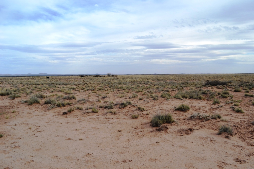 Sunshine Valley Ranchettes land for sale