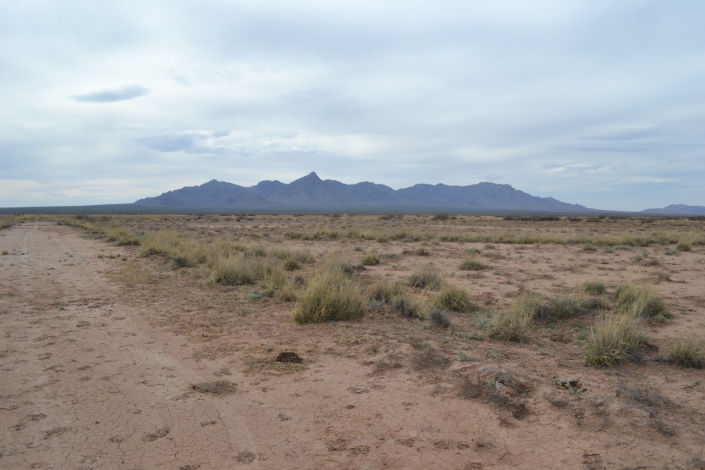 Sunshine Valley Ranchettes land for sale