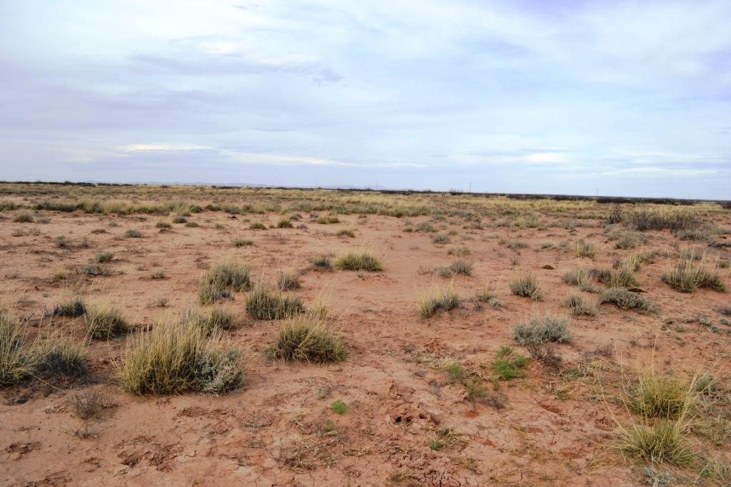 Sunshine Valley Ranchettes land for sale