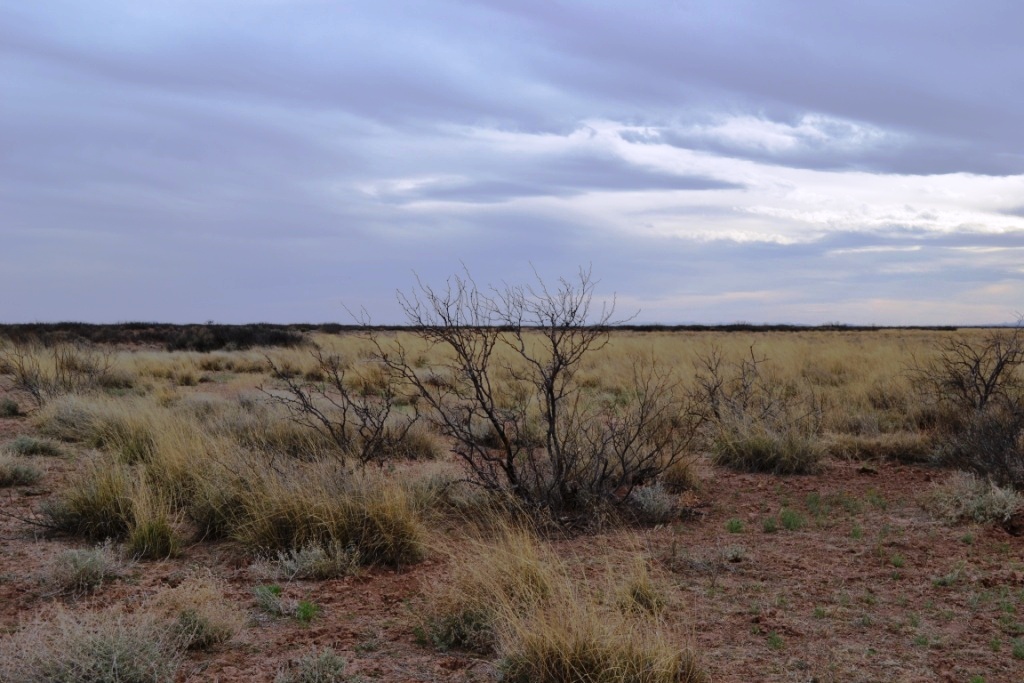 Sunshine Valley Ranchettes land for sale