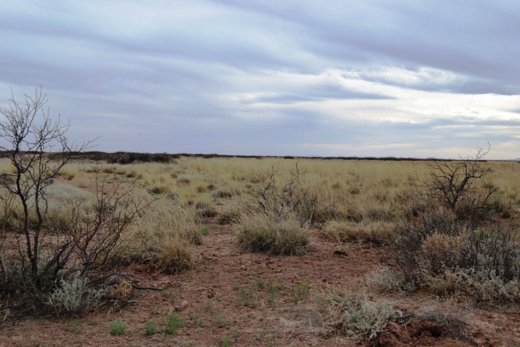 Sunshine Valley Ranchettes land for sale