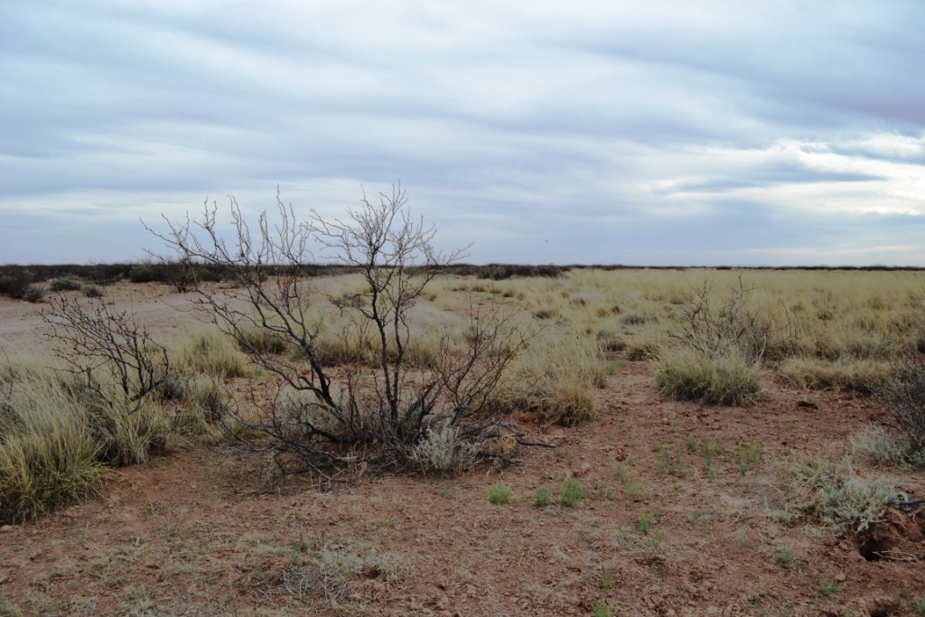 Sunshine Valley Ranchettes land for sale