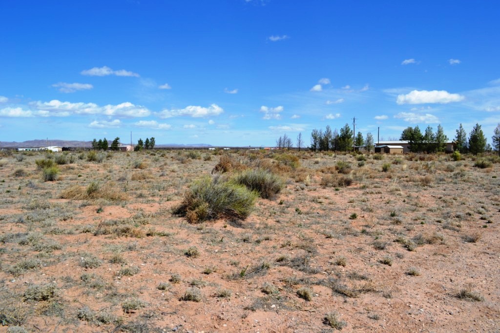 Deming Ranchettes land for sale