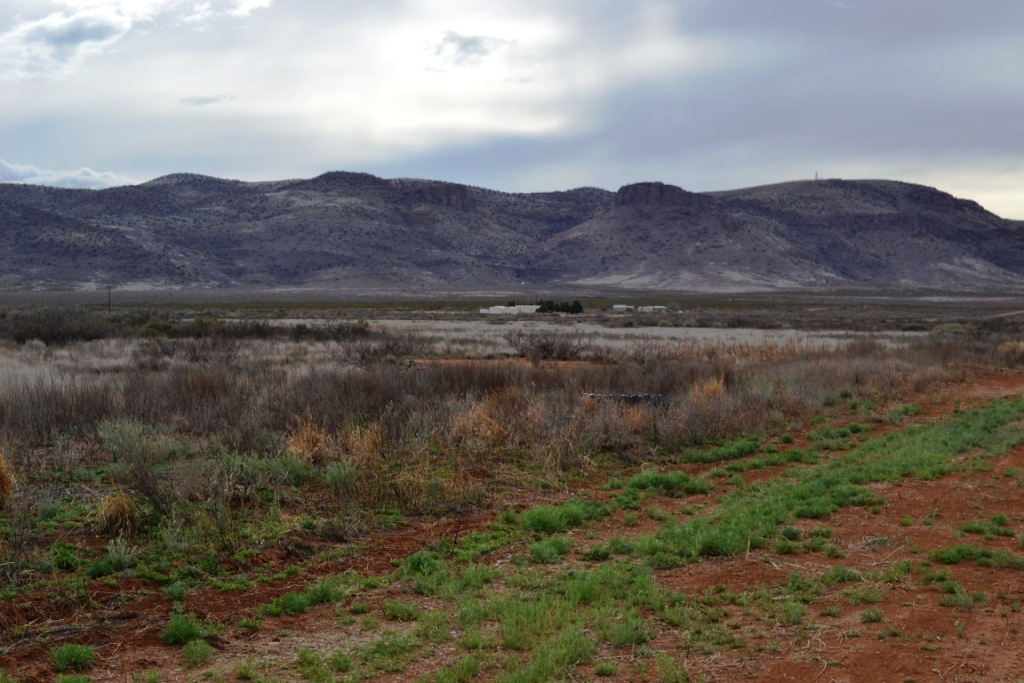 Deming Ranchettes land for sale