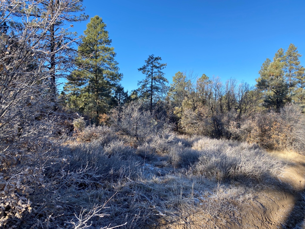 Pagosa Springs Aspen Springs land for sale