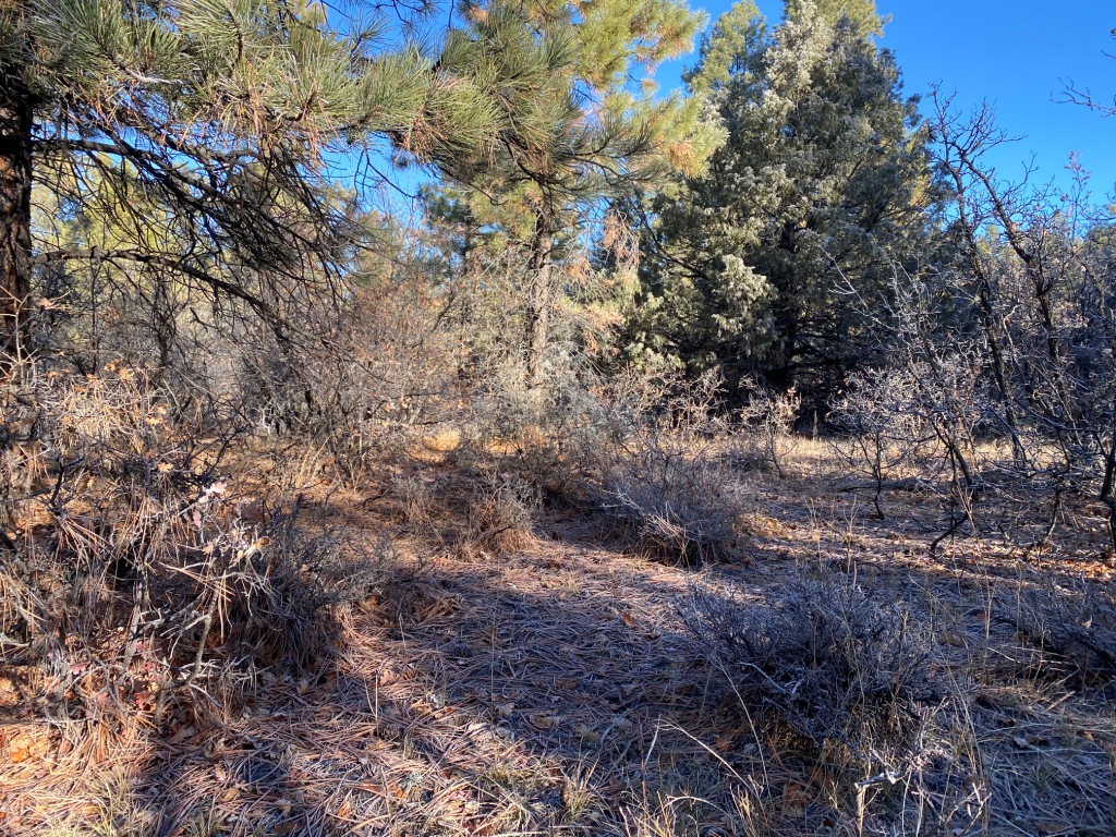 Pagosa Springs Aspen Springs land for sale