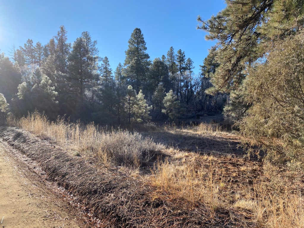 Pagosa Springs Aspen Springs land for sale