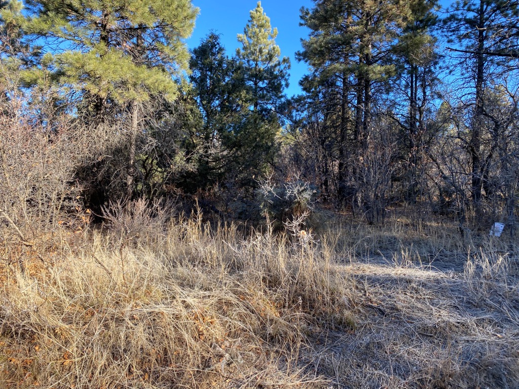 Pagosa Springs Colorado Aspen Springs land for sale