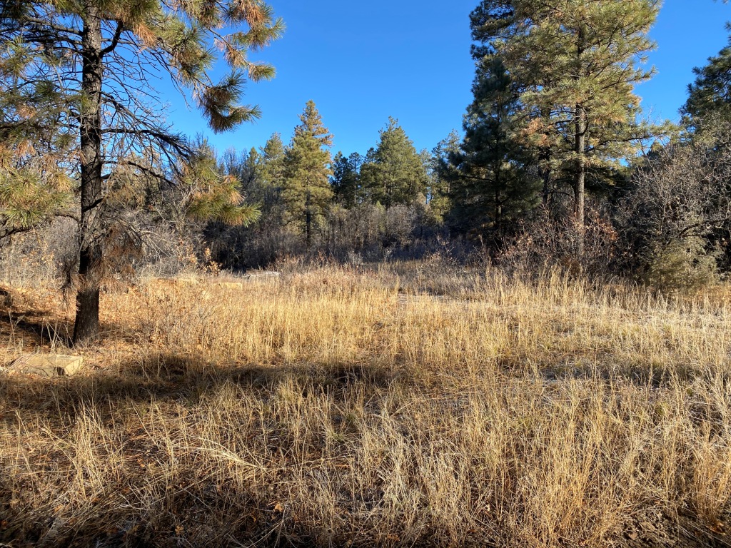 Pagosa Springs Colorado Aspen Springs land for sale