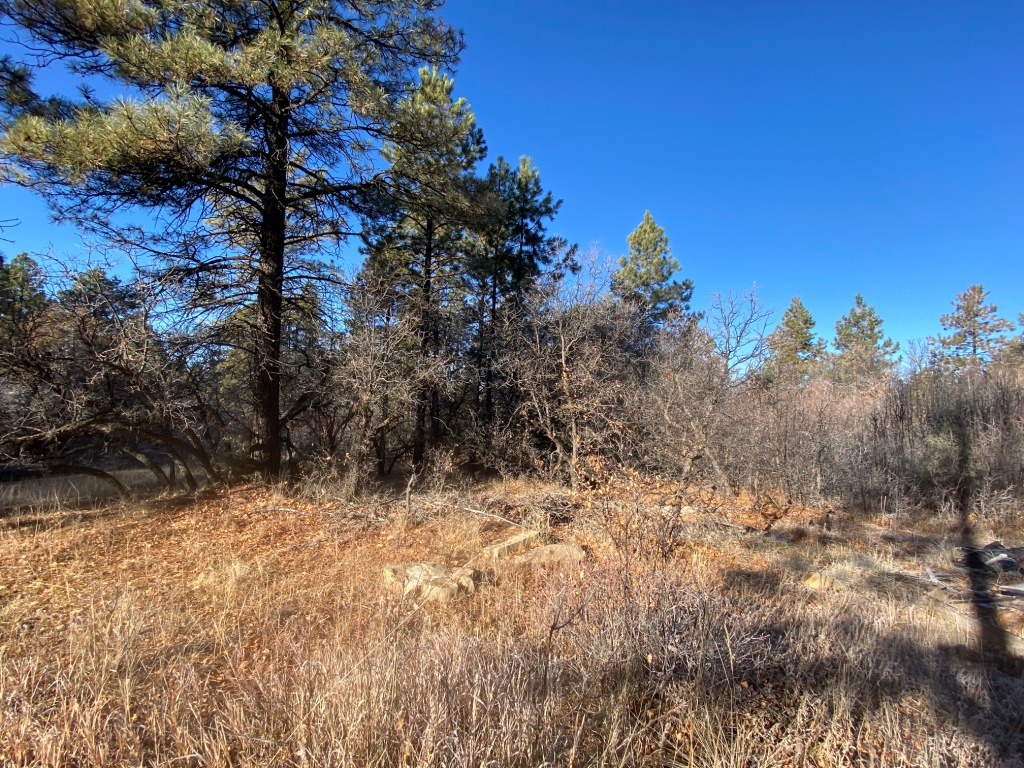 Pagosa Springs Colorado Aspen Springs land for sale