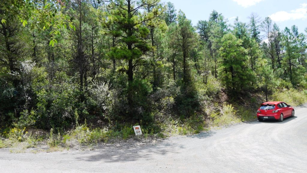 Ruidoso Gavilan canyon land for sale